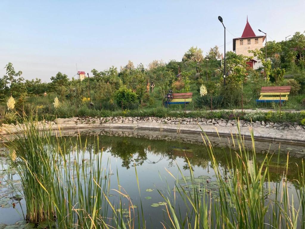 Anenii Noi Lake & Central Park